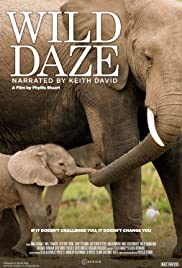 Wild Daze (2020) cover