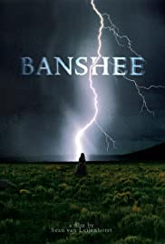 Banshee (2014) copertina