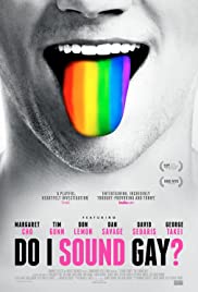 Do I Sound Gay? Colonna sonora (2014) copertina