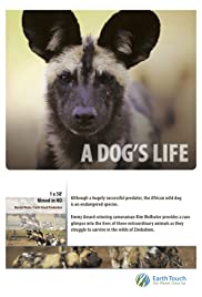 A Dog's Life Colonna sonora (2011) copertina