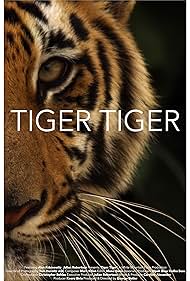 Tiger Tiger Colonna sonora (2015) copertina
