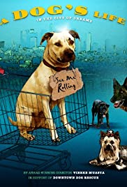 A Dog's Life Colonna sonora (2013) copertina