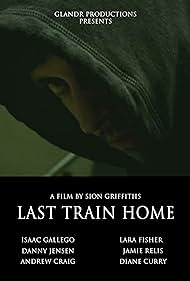 Last Train Home Film müziği (2008) örtmek