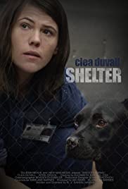 Shelter (2015) copertina