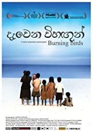 Burning Birds Soundtrack (2016) cover