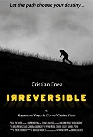 Irreversible (2015) copertina