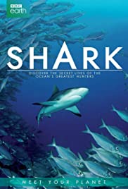 Shark (2015) copertina