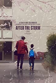 After the Storm (2016) cover