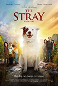 The Stray (2017) copertina