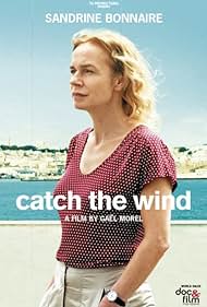Catch the Wind Soundtrack (2017) cover