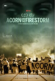 ACORN and the Firestorm (2017) cover