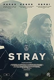 Stray (2018) carátula