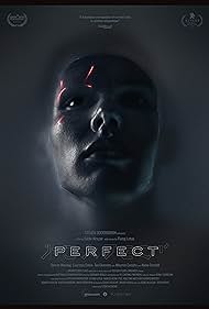 Perfect (2018) carátula
