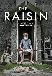 The Raisin Colonna sonora (2017) copertina