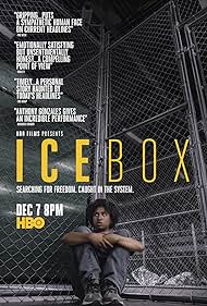 Icebox (2018) copertina