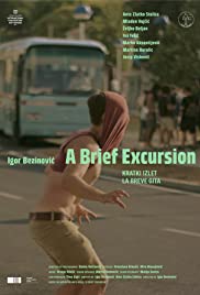 A Brief Excursion (2017) cover