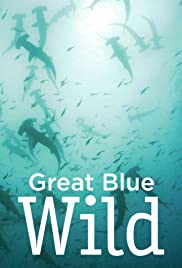 Great Blue Wild (2015) copertina