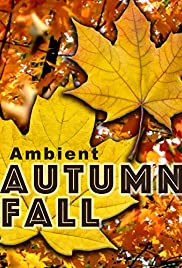 Ambient Autumn Fall Colonna sonora (2017) copertina