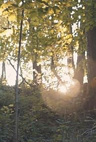 The Forest Princess Film müziği (2016) örtmek