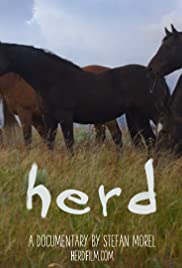 Herd (2016) copertina