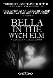 Bella in the Wych Elm (2017) cover