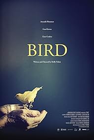 Bird (2017) copertina