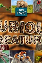 Curious Creatures (2017) cover