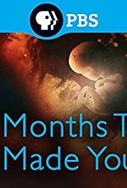 9 Months That Made You (2016) cover