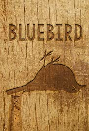 Bluebird (2017) copertina