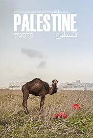 Palestine (2017) cover