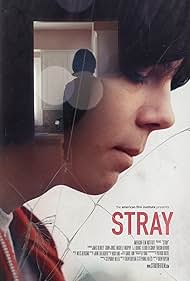 Stray Colonna sonora (2017) copertina