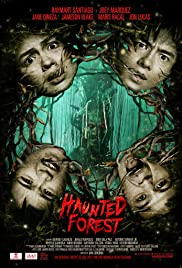 Haunted Forest (2017) cover