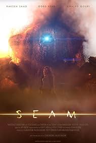 Seam (2017) carátula
