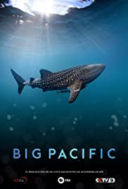Big Pacific (2017) cover