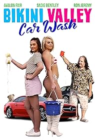 Bikini Valley Car Wash (2020) cover