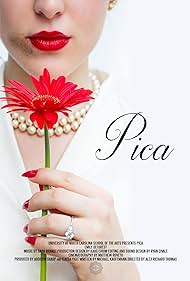 Pica Soundtrack (2017) cover