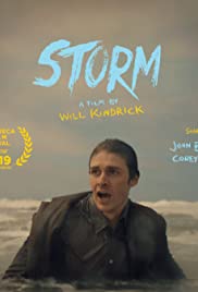 Storm Soundtrack (2019) cover