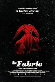 In Fabric (2018) copertina