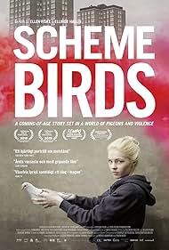 Scheme Birds (2019) cover