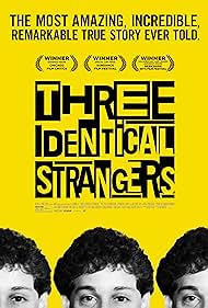 Tres idénticos desconocidos (2018) cover