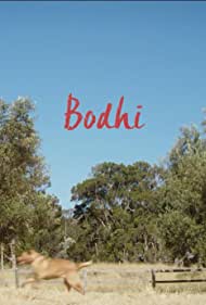 Bodhi Colonna sonora (2017) copertina