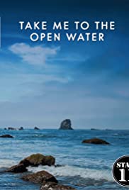 Open Water (2017) copertina