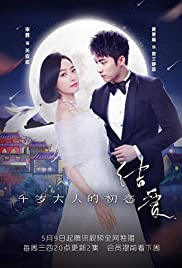 The Love Knot: His Excellency's First Love (2018) cover
