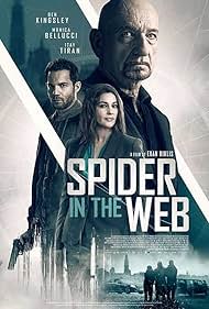 Spider in the Web (2019) cover