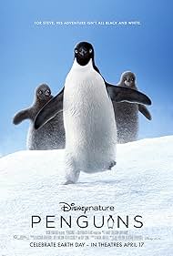 Penguins Bande sonore (2019) couverture