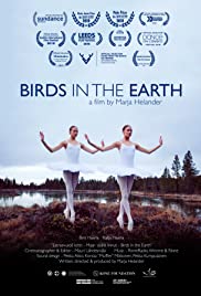 Birds in the Earth (2018) cover