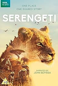 Serengeti (2019) copertina