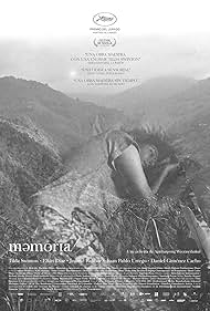 Memoria (2021) copertina