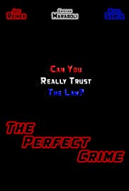 The Perfect Crime (2018) copertina