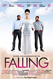 Falling (2015) copertina
